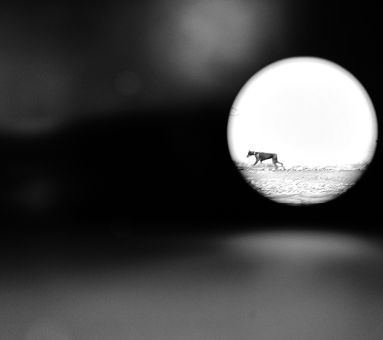 sezione_fotografia sezione_fotografia